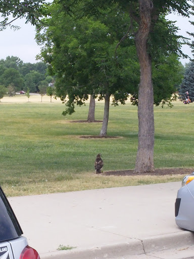 Park «James a Bible Park», reviews and photos, 6802 E Yale Ave, Denver, CO 80224, USA