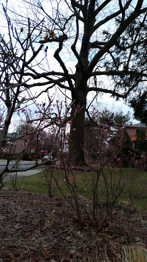 Park «Palisades Park Recreation Area», reviews and photos, 676 Undercliff Ave, Edgewater, NJ 07020, USA