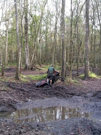 Nature Preserve «Apollo Beach Preserve», reviews and photos, 6760 Surfside Blvd, Apollo Beach, FL 33572, USA