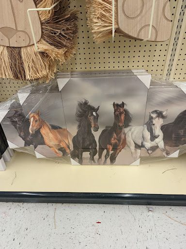 Craft Store «Hobby Lobby», reviews and photos, 1660 S Robert St, West St Paul, MN 55118, USA