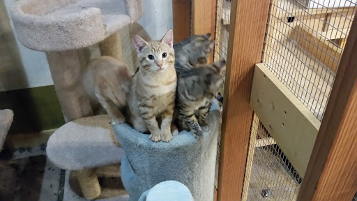 Pet Store «Next to Nature», reviews and photos, 4543 California Ave SW, Seattle, WA 98116, USA