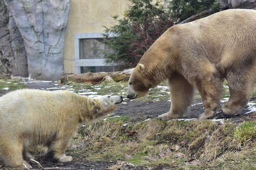 Park «Delaware Park», reviews and photos, Meadow Dr, Buffalo, NY 14214, USA