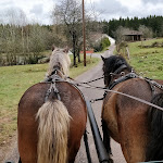 Photo n° 1 de l'avis de Jamal. fait le 08/04/2018 à 18:10 pour Equi'val - Maroquinerie / Balades et Randonnées à cheval à Le Tholy