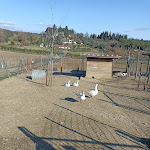 Photo n°5 de l'avis de Vincenzo. fait le 29/01/2023 à 19:45 sur le  Bio & Brado à Impruneta