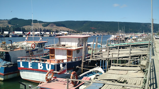 Opiniones de Puerto Pesquero Lebu en Lebu - Asociación