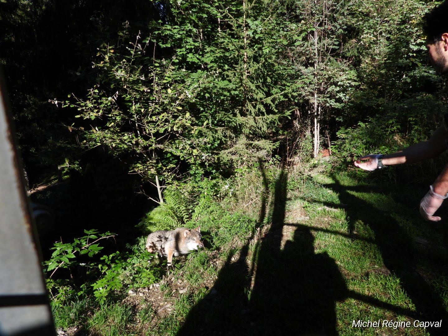 Photo n° 30 de l'avis de michel.a fait le 03/10/2019 à 13:25