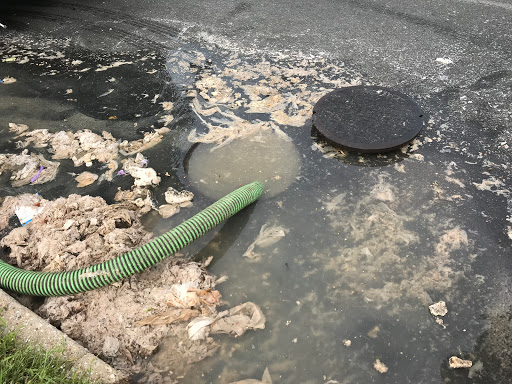 Plumber «Island Sewers», reviews and photos, 154 W Buchanan St, Staten Island, NY 10301, USA