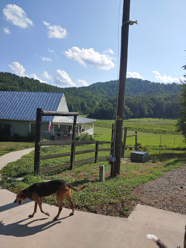 Winery «Loving Cup Vineyard & Winery», reviews and photos, 3340 Sutherland Rd, North Garden, VA 22959, USA