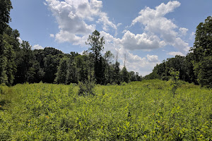 Forrest Nature Preserve