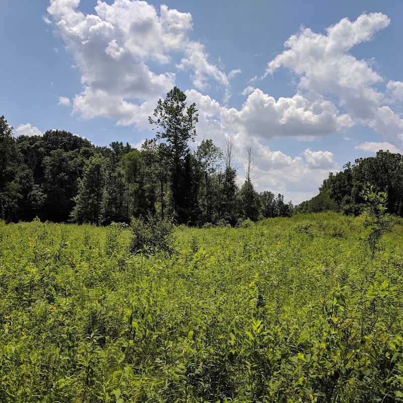 Forrest Nature Preserve