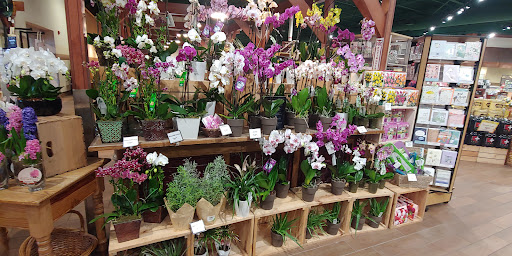 Grocery Store «The Fresh Market», reviews and photos, 1200 Huguenot Rd, Midlothian, VA 23113, USA