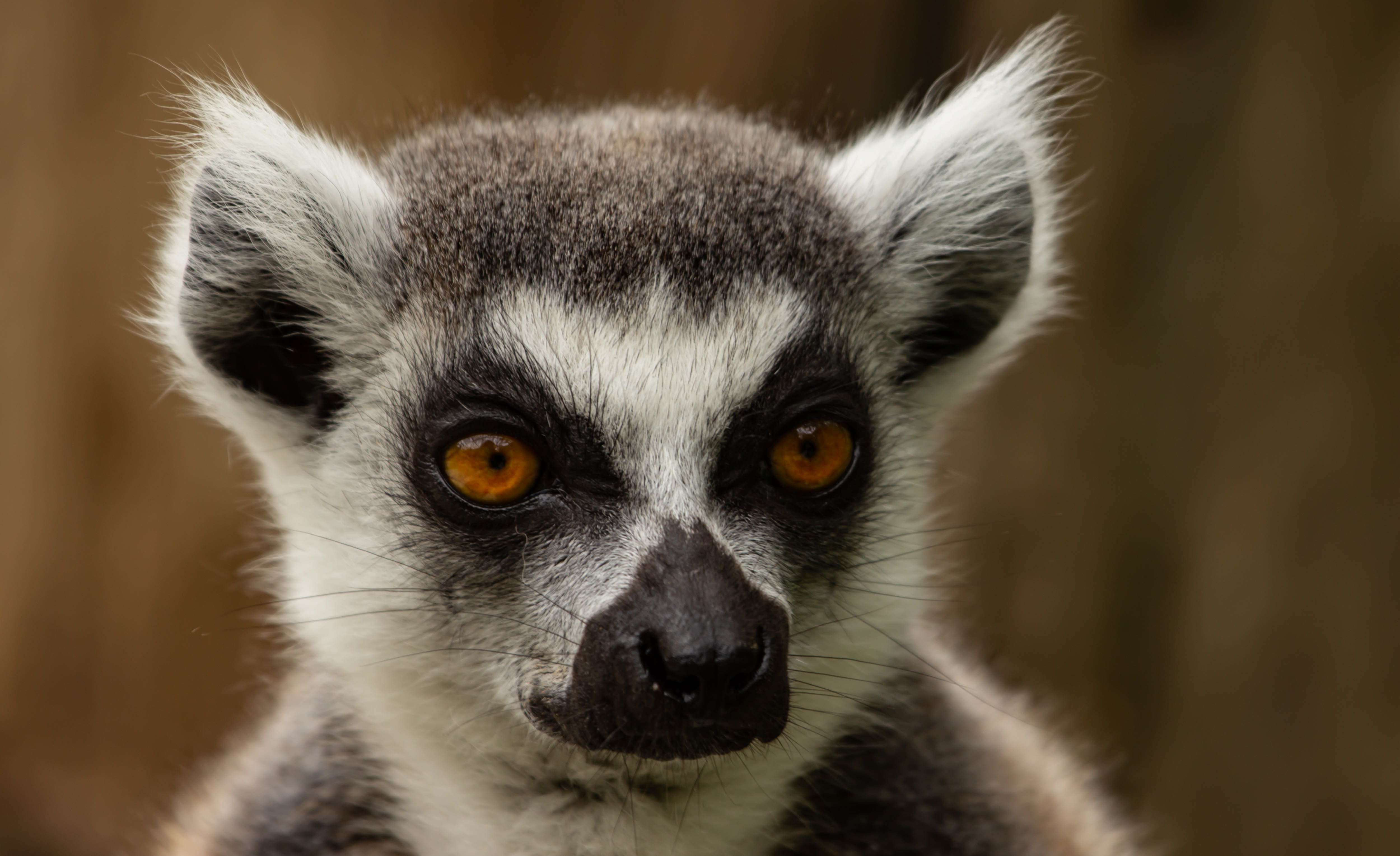 Photo n° 3 de l'avis de Tim.n fait le 11/01/2022 à 18:54