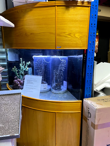 Pet Supply Store «Monster Aquarium Inc.», reviews and photos, 131-08 40 Rd, Flushing, NY 11354, USA