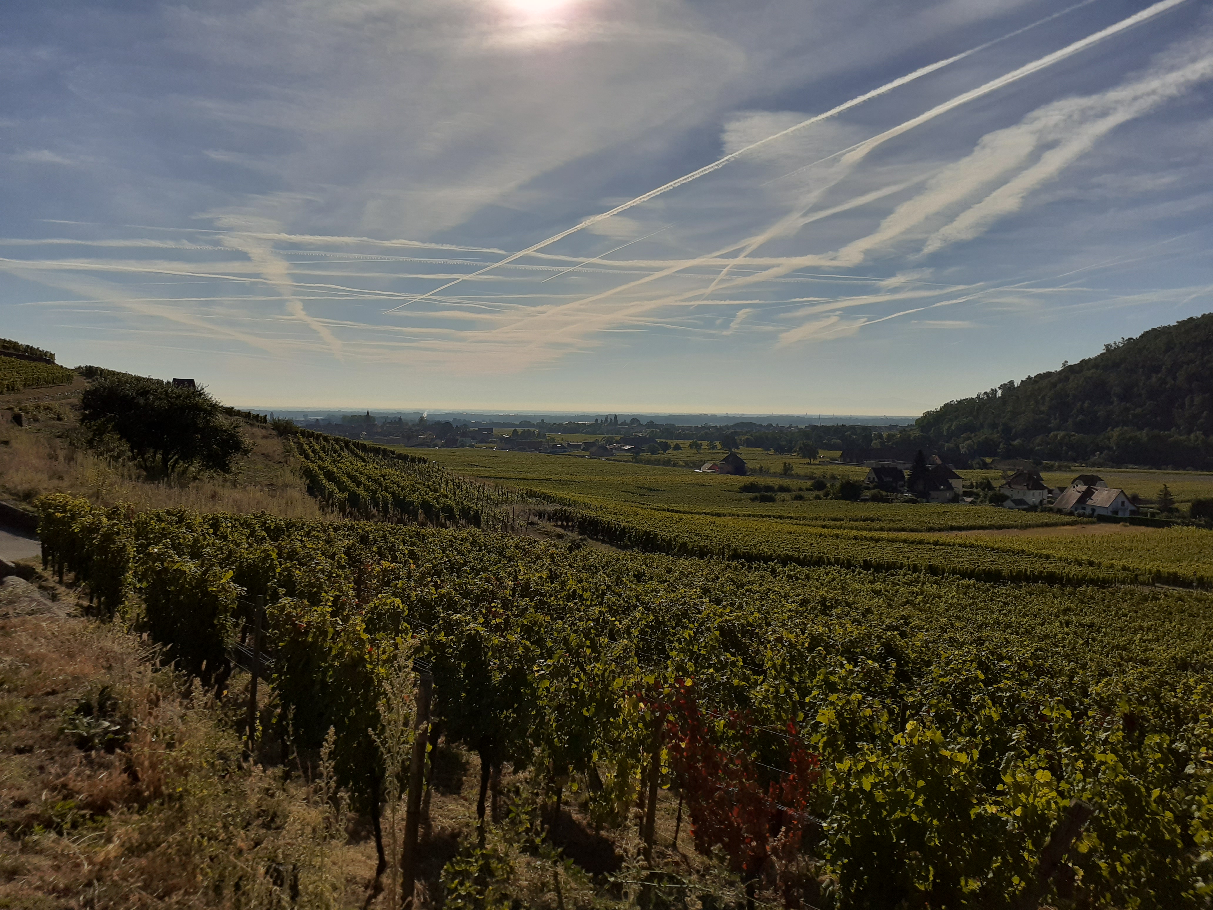 Photo n° 5 de l'avis de Cécile.e fait le 23/09/2021 à 16:56