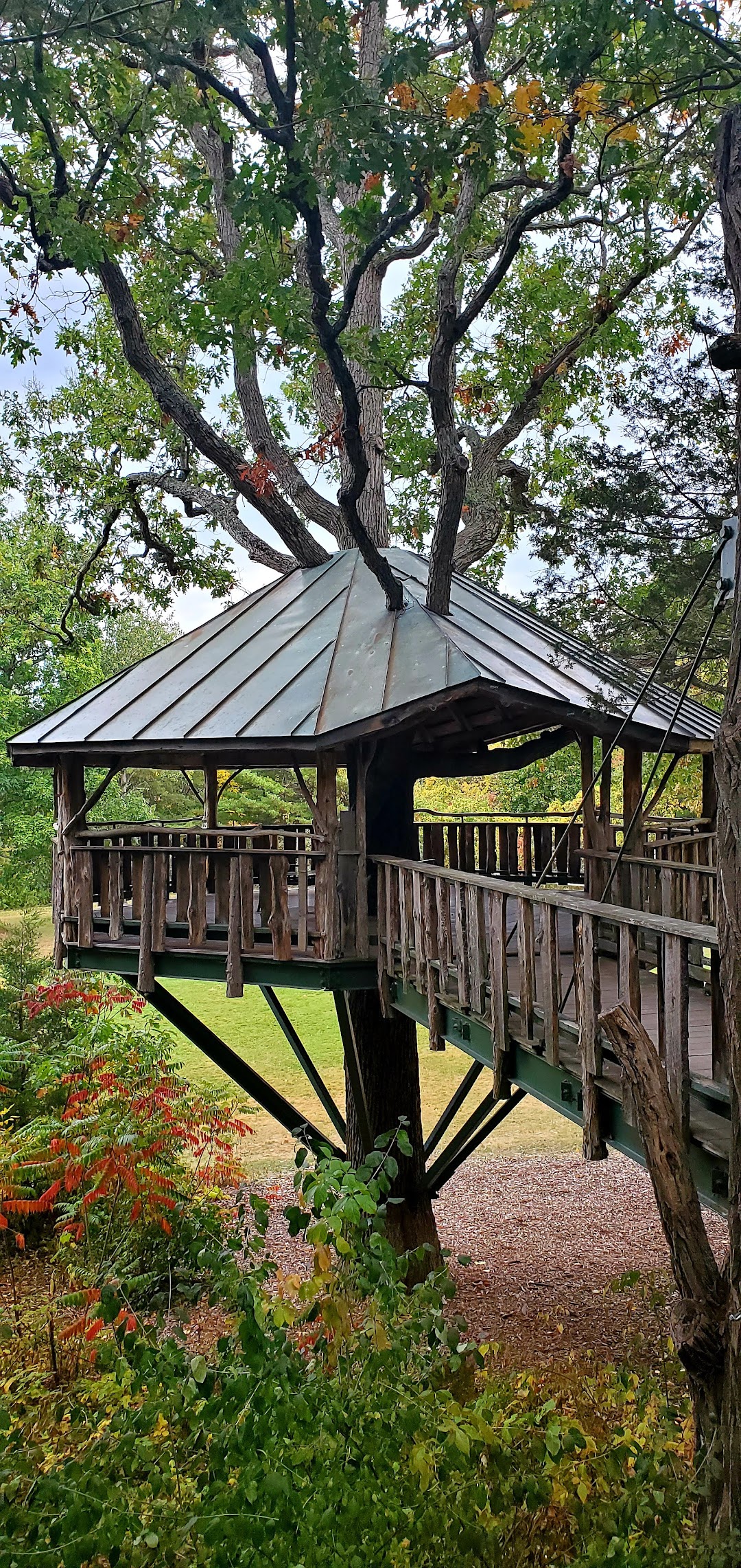 Oakledge Park Treehouse
