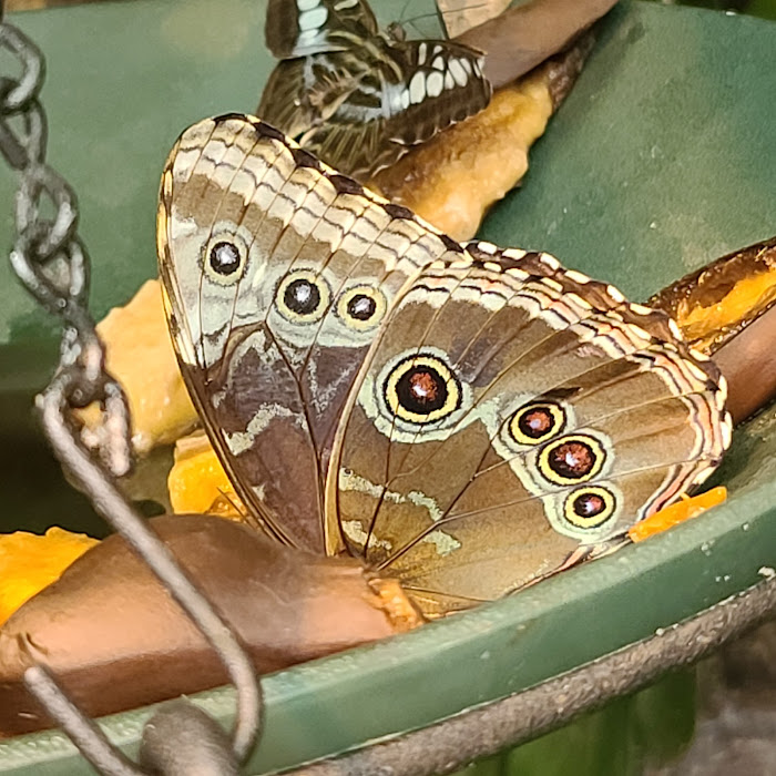 Tourist attraction near Mountain Country Motor Inn