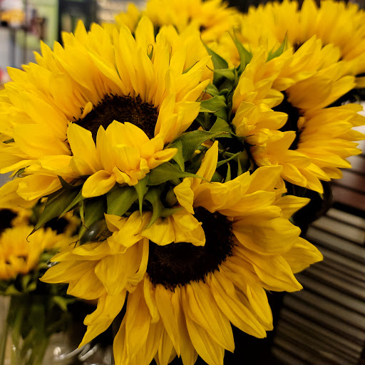 Grocery Store «Safeway», reviews and photos, 20151 SE Hwy 212, Damascus, OR 97089, USA