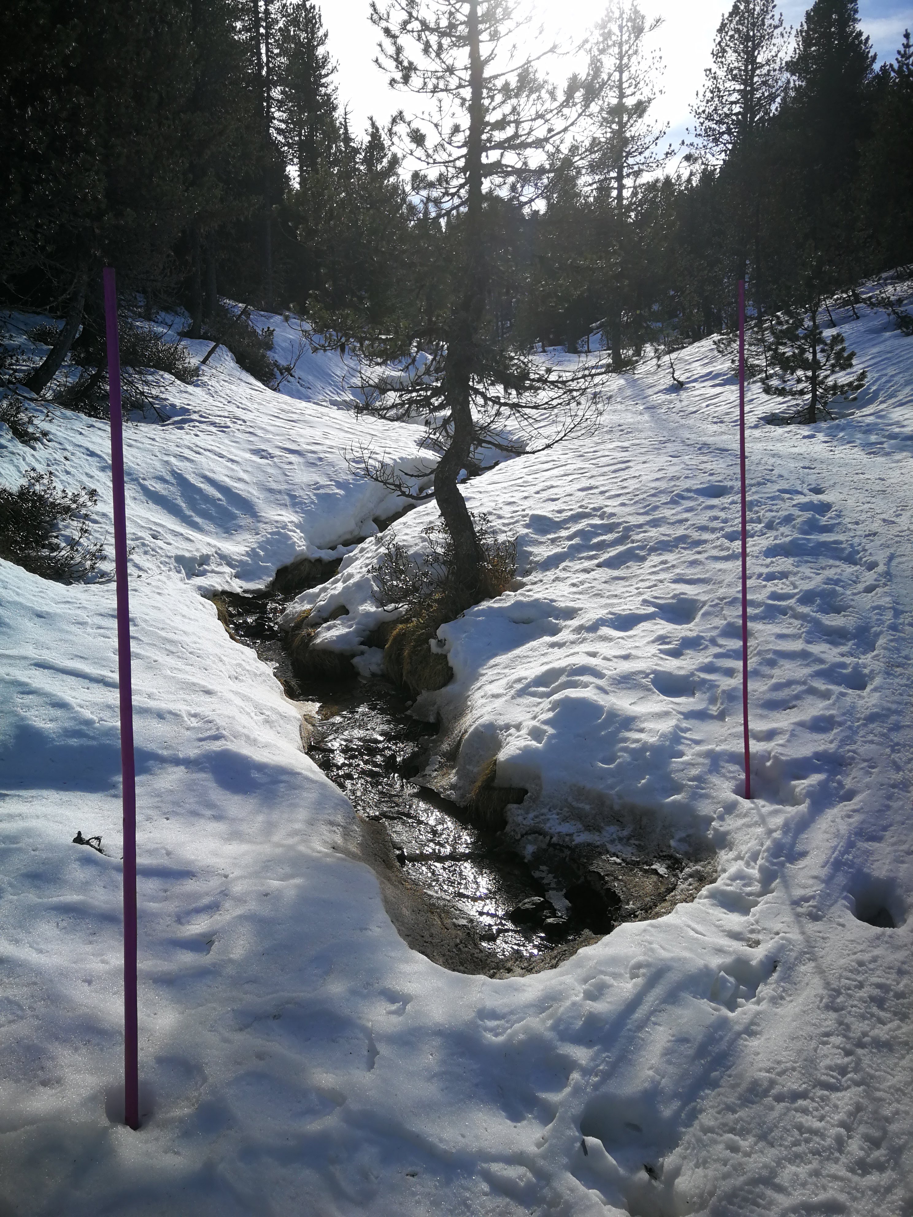 Photo n° 12 de l'avis de Sylvie.a fait le 01/01/2020 à 17:23