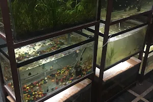 Navya Aquarium Fish Shop image