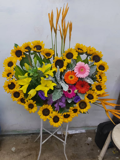 Aranzaflor Floreria – Silao