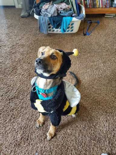 Pet Supply Store «Natural Pet Center», reviews and photos, 3037 13th Ave S, Fargo, ND 58103, USA