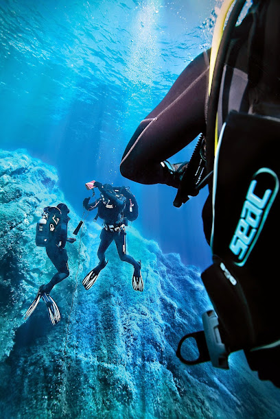 Blue Ocean Divers