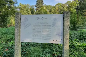 Arboretum image