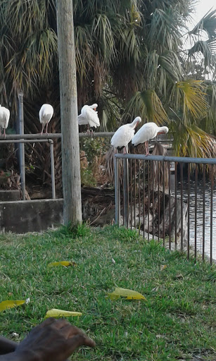 Park «Griffing Park», reviews and photos, 12220 Griffing Blvd, North Miami, FL 33161, USA