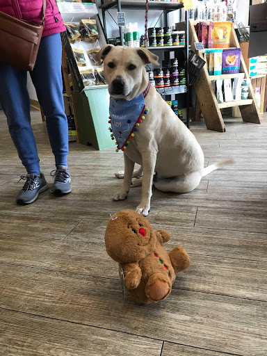 Pet Supply Store «City Dogs Grocery», reviews and photos, 884 Massachusetts Ave, Indianapolis, IN 46204, USA