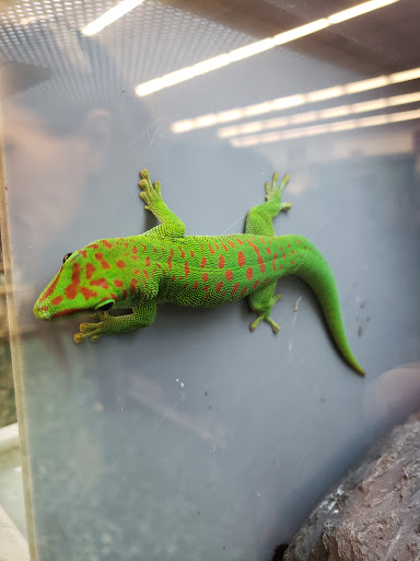 Pet Supply Store «Petco Animal Supplies», reviews and photos, 1337 N National Rd, Columbus, IN 47201, USA