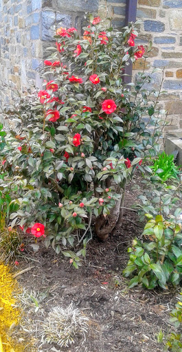 Thrift Store «St Albans Church-Opportunity Shop», reviews and photos, 3001 Wisconsin Ave NW, Washington, DC 20016, USA