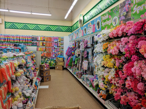 Dollar Store «Dollar Tree», reviews and photos, 1031 E Oakton St, Des Plaines, IL 60018, USA