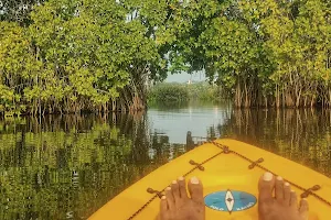Mangrove Island image
