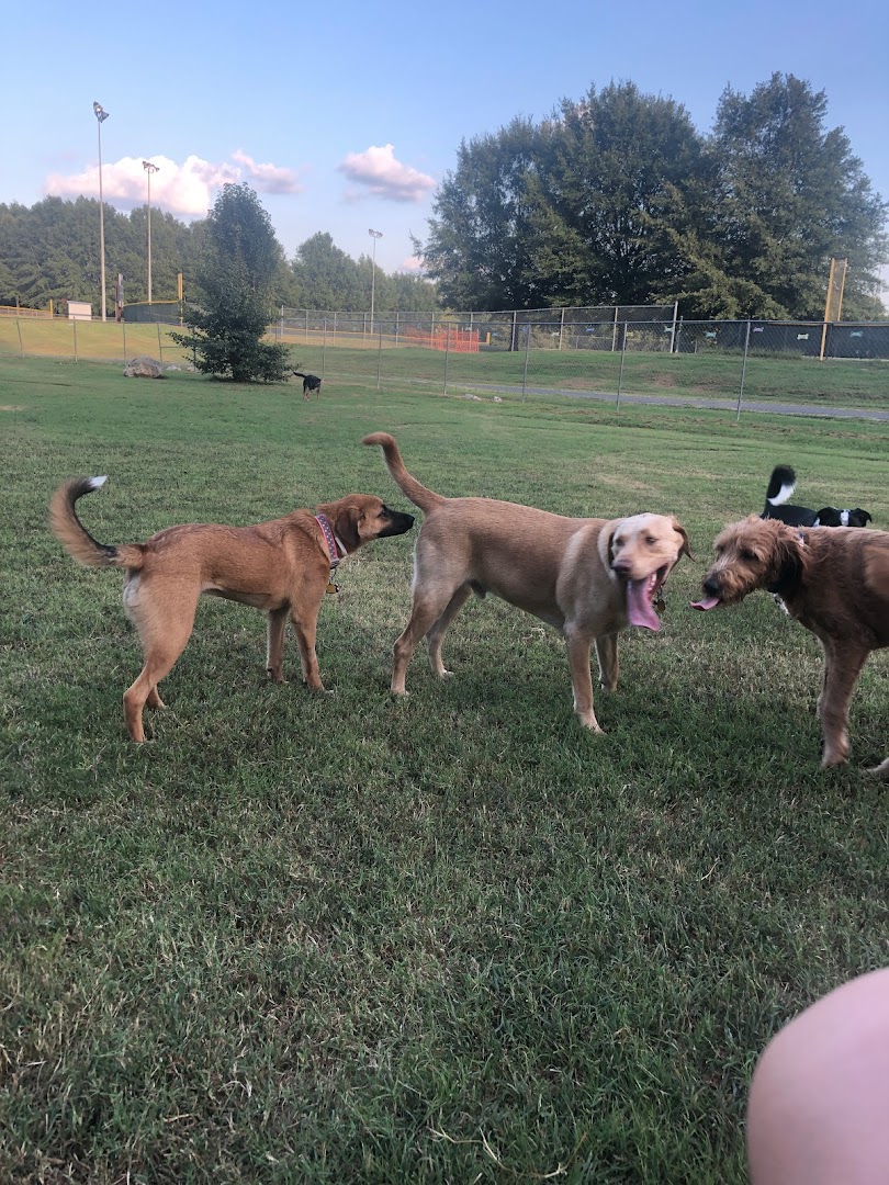 Murray-Calloway County Dog Park