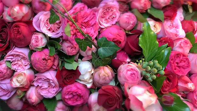 Rezensionen über Blumenladen Rosen Nidegger Riedikon (Selbstbedienung) in Uster - Blumengeschäft