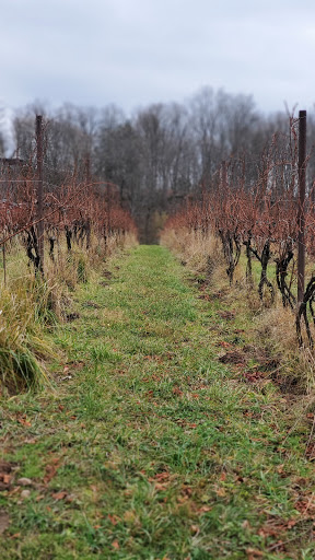 Winery «Arrowhead Spring Vineyards», reviews and photos, 4746 Town Line Rd, Lockport, NY 14094, USA