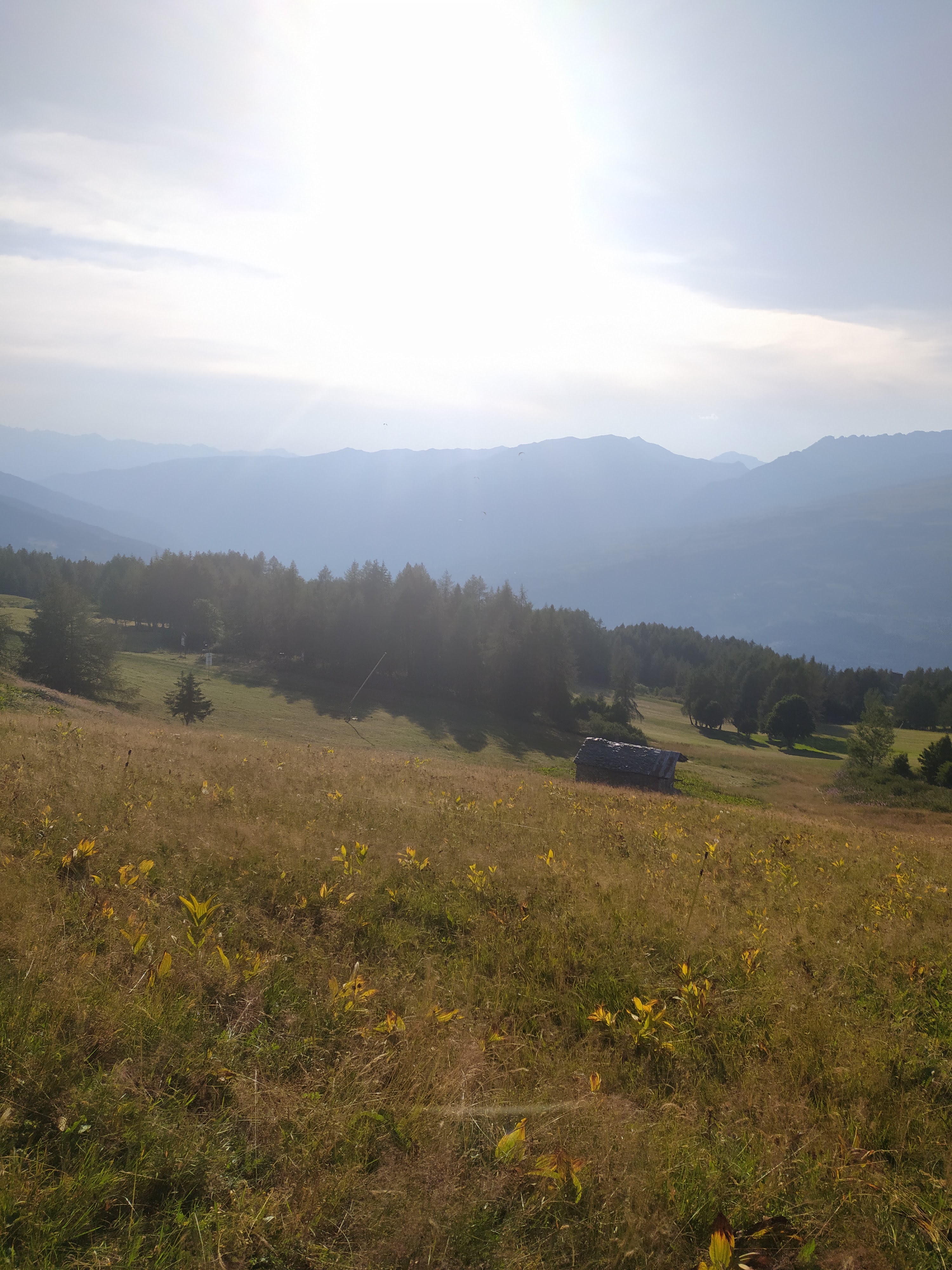 Photo n° 1 de l'avis de Raphaël.o fait le 09/08/2020 à 17:24