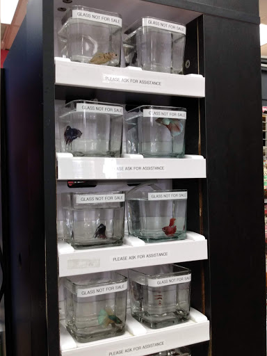 Pet Supply Store «Pet Supermarket», reviews and photos, 1800 W 68th St #140, Hialeah, FL 33014, USA