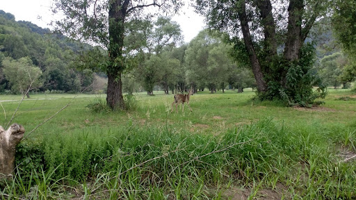 Golf Course «Redwood Canyon Golf Course», reviews and photos, 17007 Redwood Rd, Castro Valley, CA 94546, USA