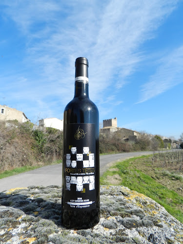 Terre d'Expression, créateurs de vins Occitans à Fabrezan