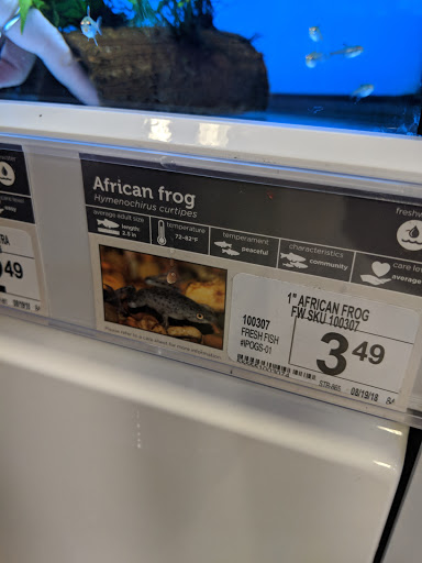 Pet Supply Store «Petco Animal Supplies», reviews and photos, 35 Fort Eddy Rd, Concord, NH 03301, USA