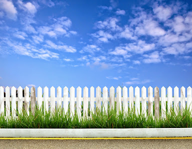 BellaVista Landscape Services, Inc. 240 San Jose Ave, San Jose, CA 95125