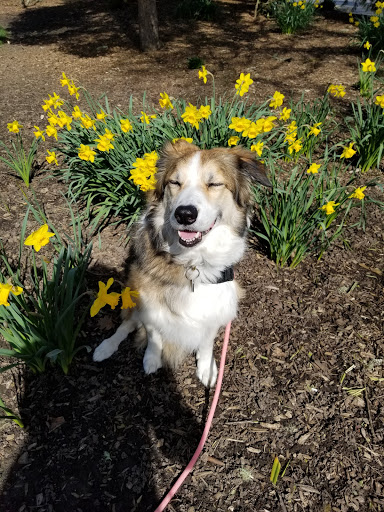 Park «Shadywood Park», reviews and photos, 535 NE 24th Ave, Hillsboro, OR 97124, USA