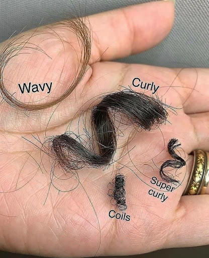 Hair Salon «Chic Hair & Makeup Salon», reviews and photos, 205 Brightman St, Fall River, MA 02720, USA