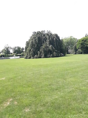 The Elms - photo 74