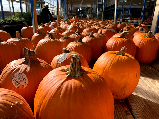 Home Improvement Store «Menards», reviews and photos, 6600 N Brady St, Davenport, IA 52806, USA