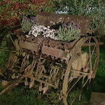 Photo n°1 de l'avis de Gábor.e fait le 07/04/2019 à 14:31 sur le  Ristorante Pizzeria alle Rose - Specialità Baccalà e Pizze alla Soia à Vescovana