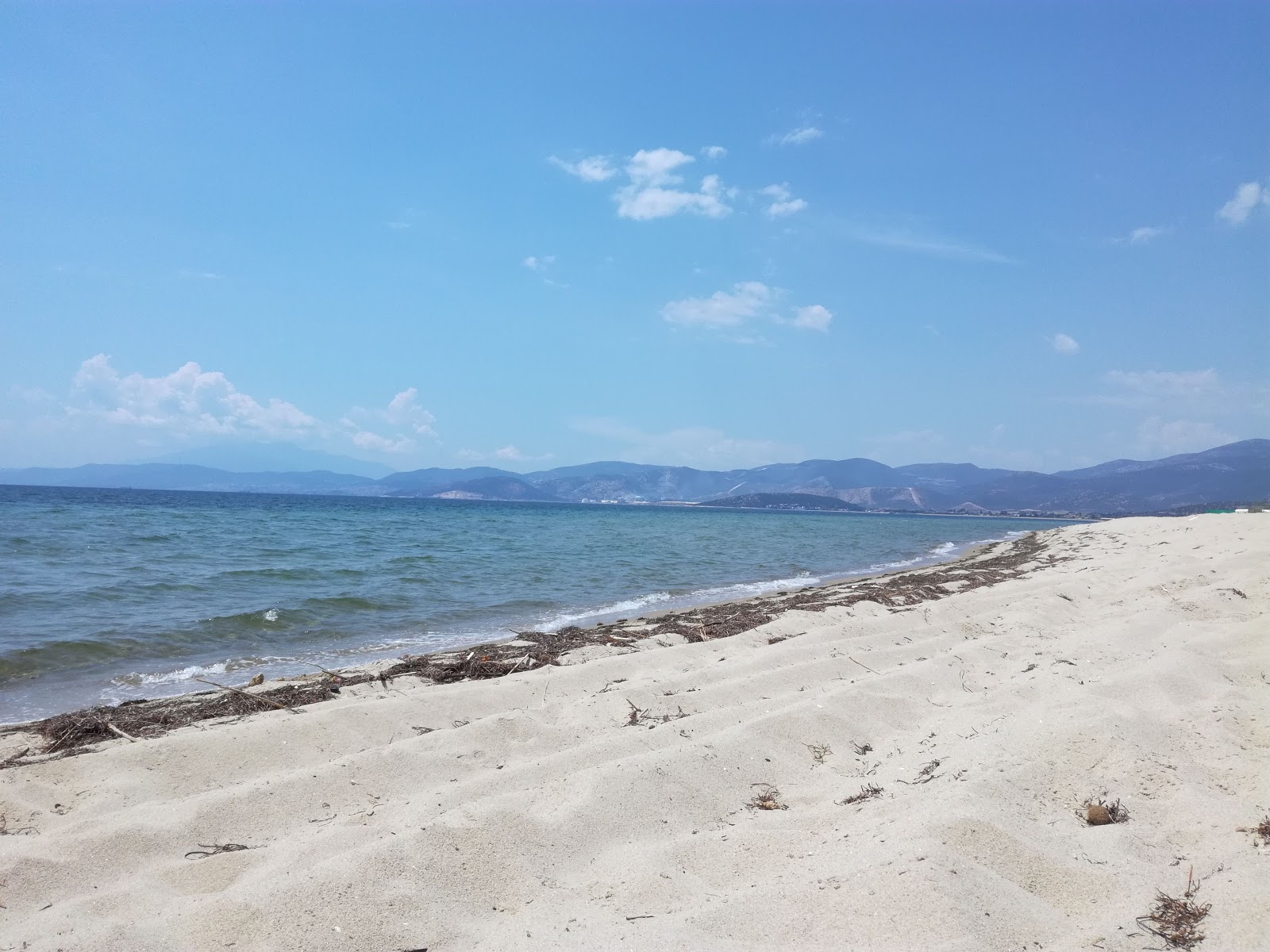 Timari beach'in fotoğrafı turkuaz saf su yüzey ile