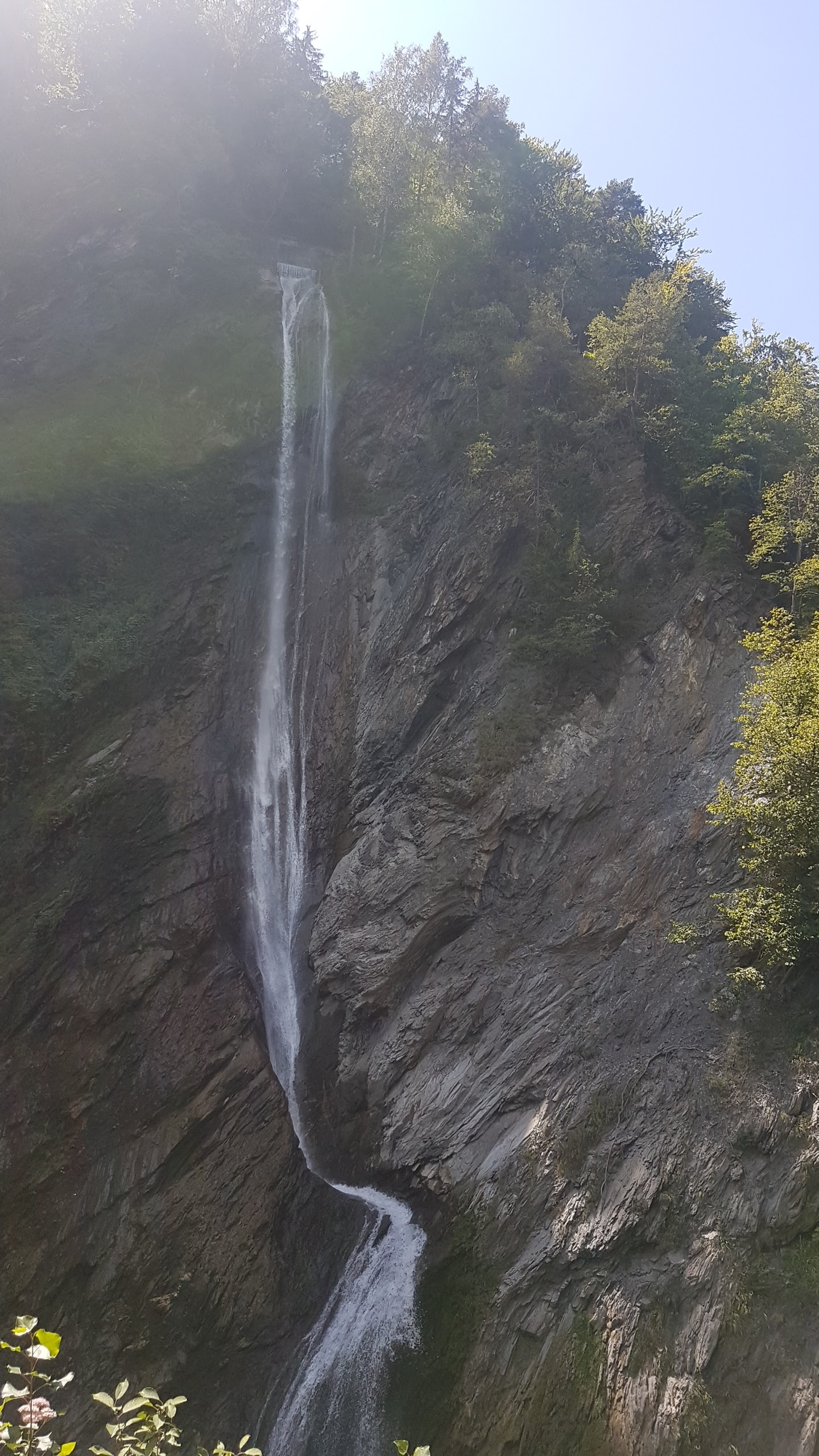 Photo n° 1 de l'avis de Lulu.i fait le 11/08/2020 à 19:05