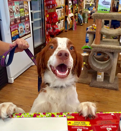 Pet Store «Bark Life Market», reviews and photos, 11220 Park Blvd N, Seminole, FL 33772, USA